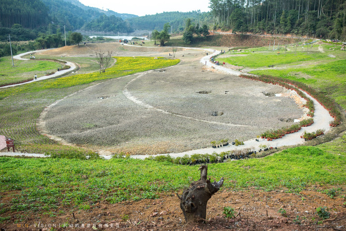 崇左自驾旅游景点有哪些地方,广西崇左沿途的风景