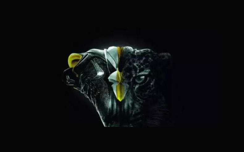 谁能代替科比的签名鞋,科比签名鞋详细资料