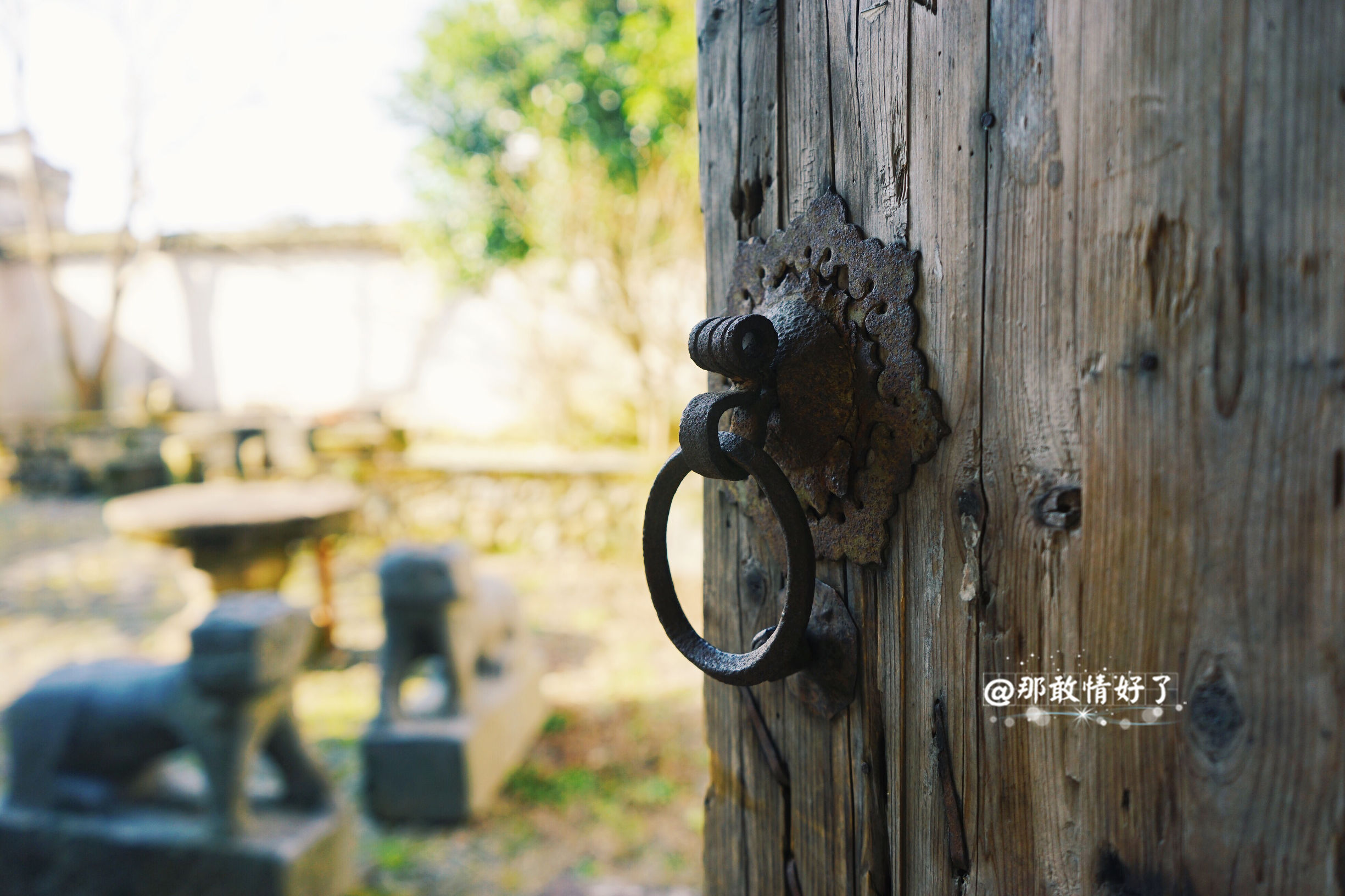 一家三口去南极旅行 (中国一家三口去南极旅游)