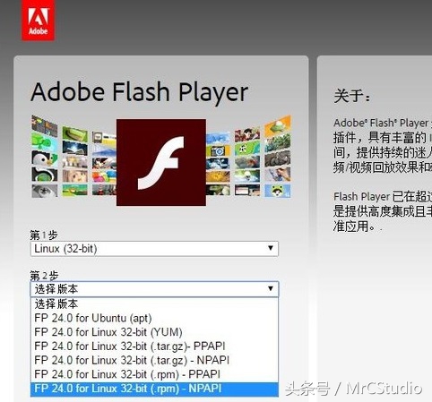 npapi开发详解,npapi插件是什么