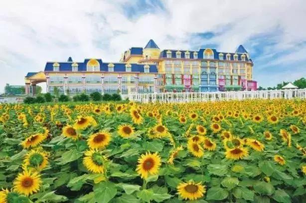 亲子游好去处！番禺周边的农家乐、游乐场、文化园…充实又好玩！