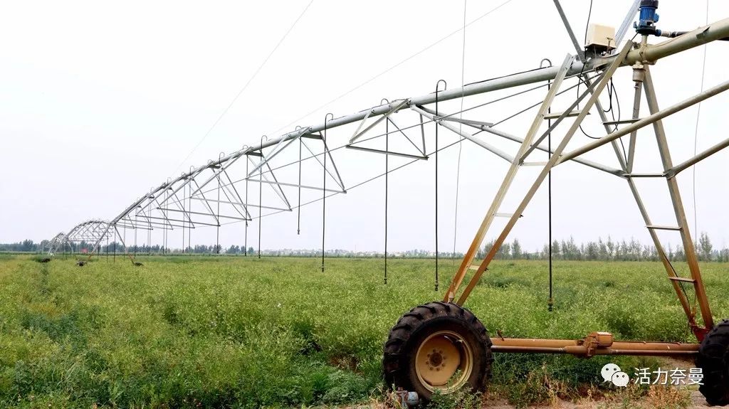 45万人的名片,太漂亮了!!《奈曼人的名片》最新版,45万次!!!精工打造!!!