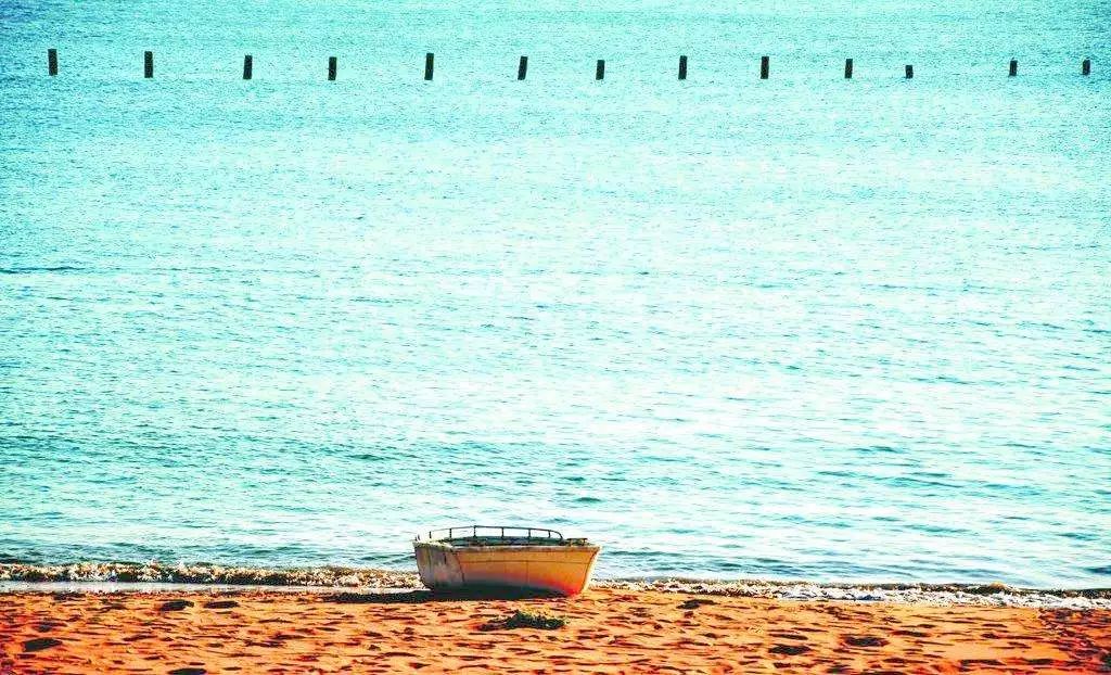 上海新年一定要去的地方,过年上海去哪玩好又便宜又好玩