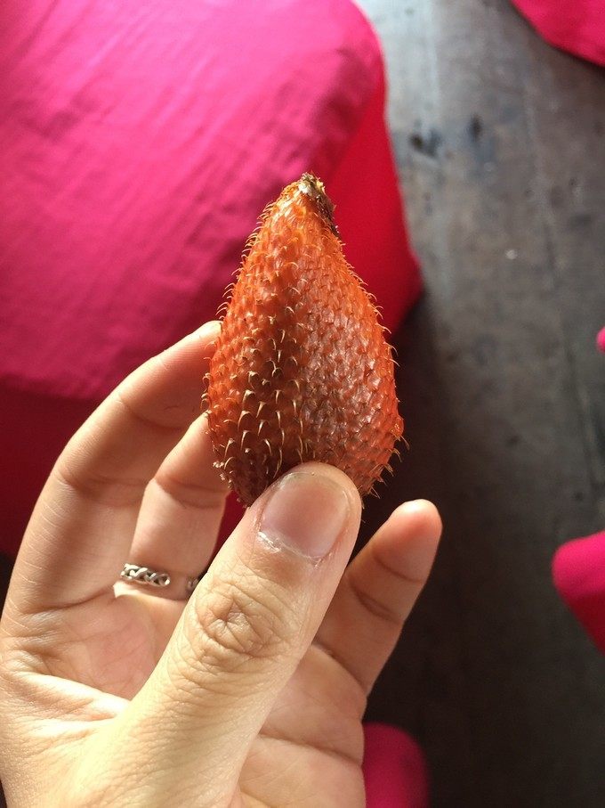 第一次去泰国海滩,大海去旅行泰国