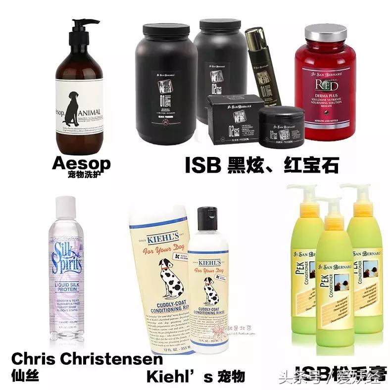 宠物洗护攻略,爱妖经养宠怎么玩