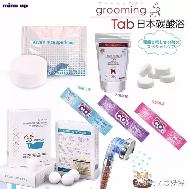 宠物洗护攻略,爱妖经养宠怎么玩