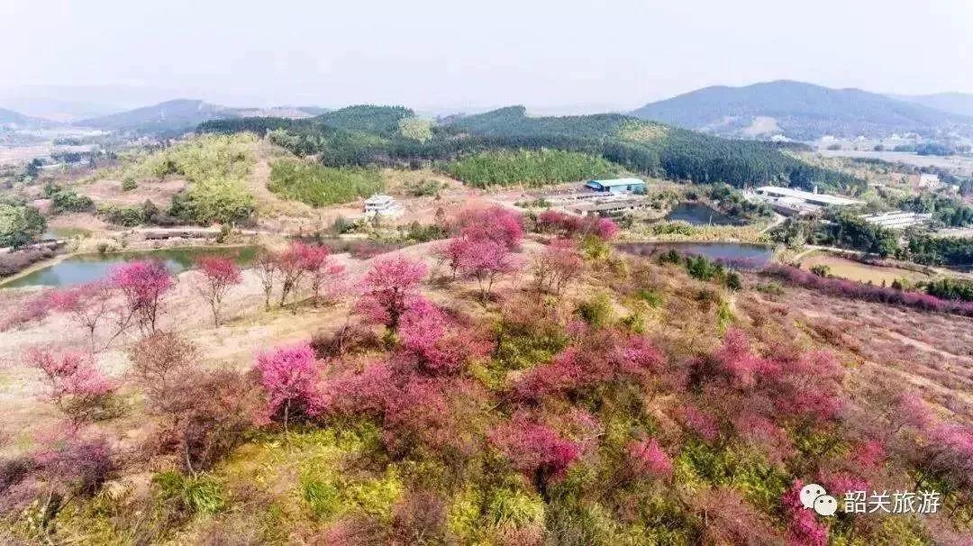 滚蛋吧,春困君!广东这些花花世界让你秒变龙马精神!