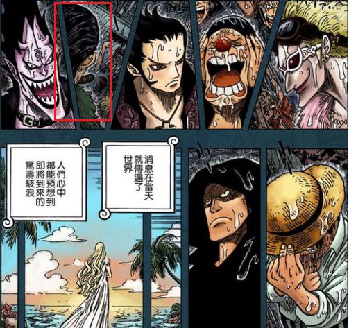 海贼王里的克洛克达尔是不是女的,海贼王克洛克达尔