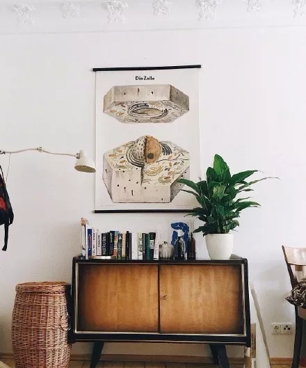 跟着“盐系”人设一起火了的,还有盐系家居