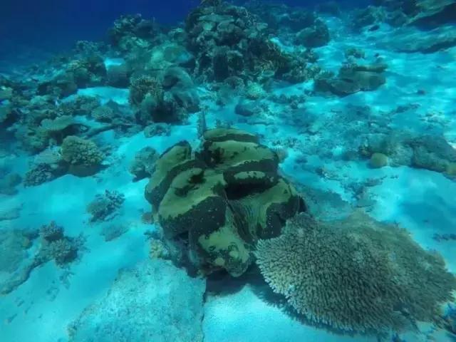 帕劳旅游攻略旅游视频,帕劳旅游攻略2018