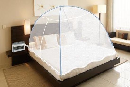 床上爬蟑螂怎么解决,蟑螂晚上会爬人身上吗