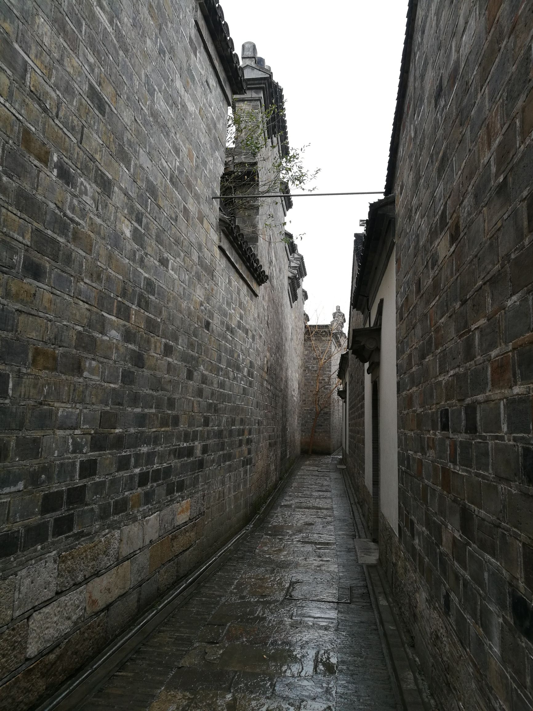 南京旅游打卡美食老东门,南京老门东小西湖景区