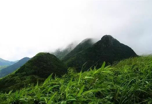 深圳春游十大好去处要门票,深圳春游亲子最佳去处
