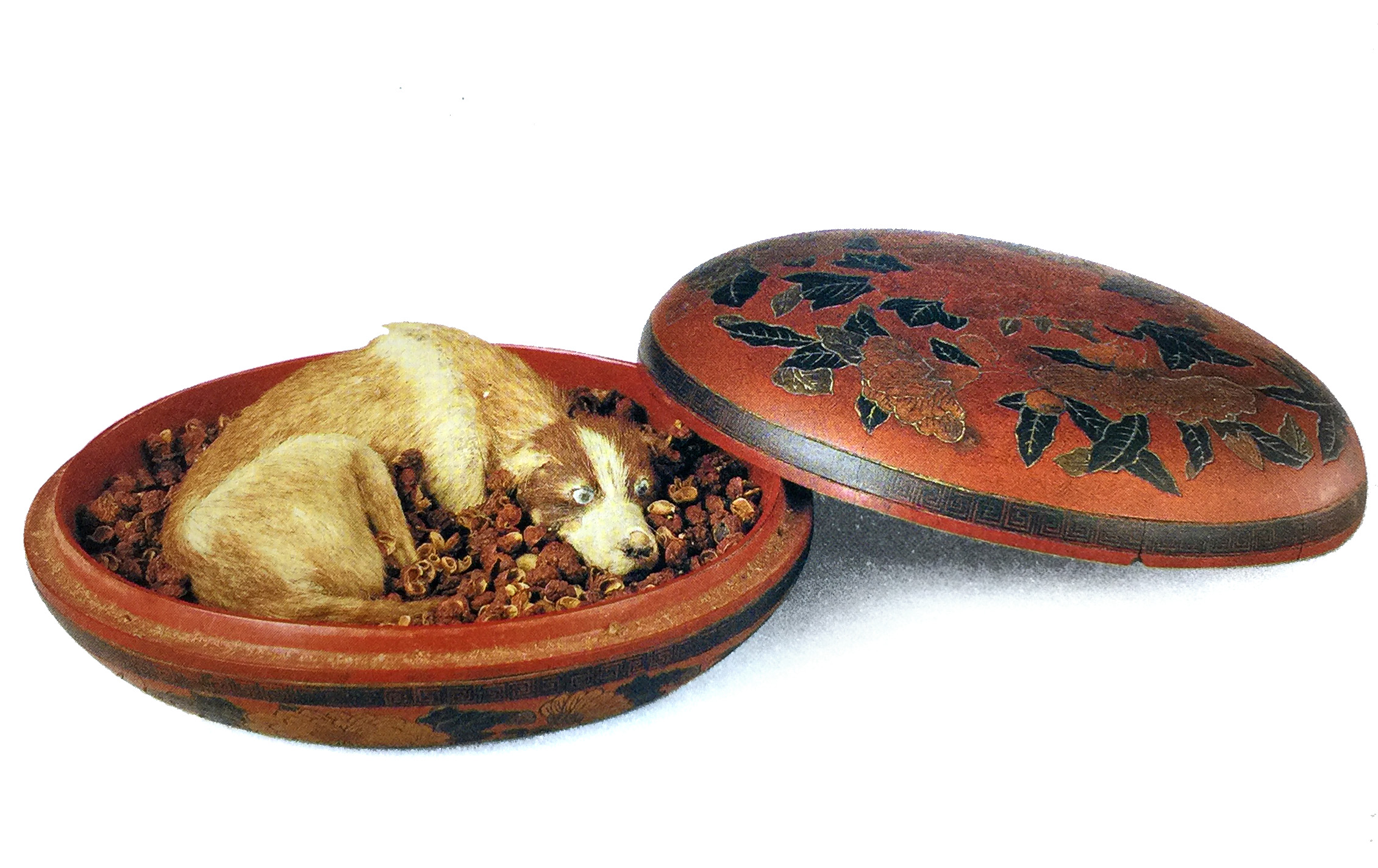 穿越千年看广东非遗服装服饰,穿越千年看动物