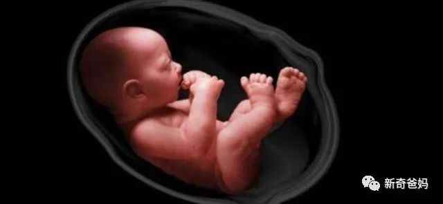 孕期羊水少怎么补,孕37周羊水少让住院