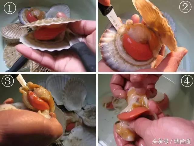 胶东四季的时令海鲜表,老渔民告诉你应季海鲜