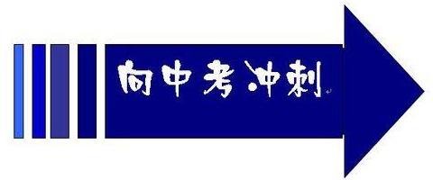 中考数学知识点有理数无理数,中考无理数的解题方法