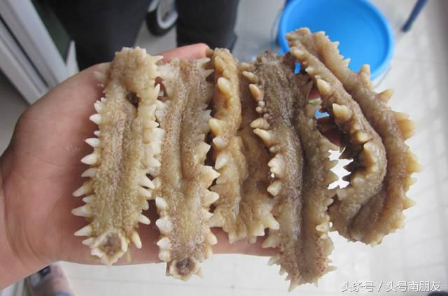 广州旅游手信,马来西亚旅游必买的手信