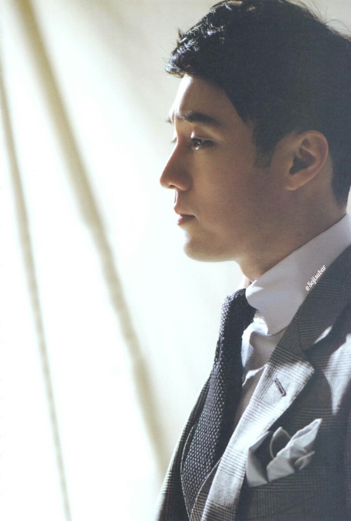 宋仲基王嘉尔,宋仲基演艺经历