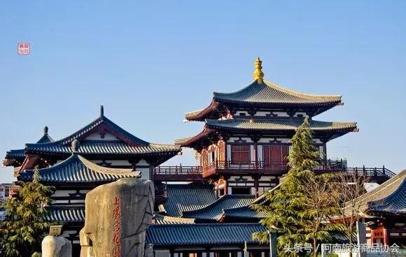 玩转洛阳多少钱,玩转洛阳市