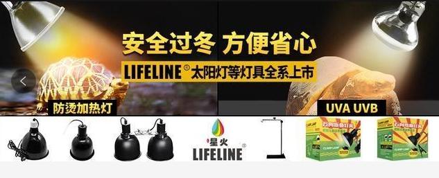 这龟白送你都不要,这篇阅读量要仆街