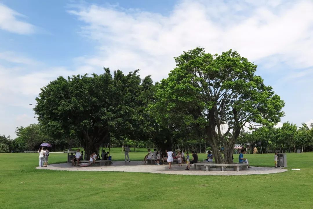 深圳春游十大好去处要门票,深圳春游亲子最佳去处