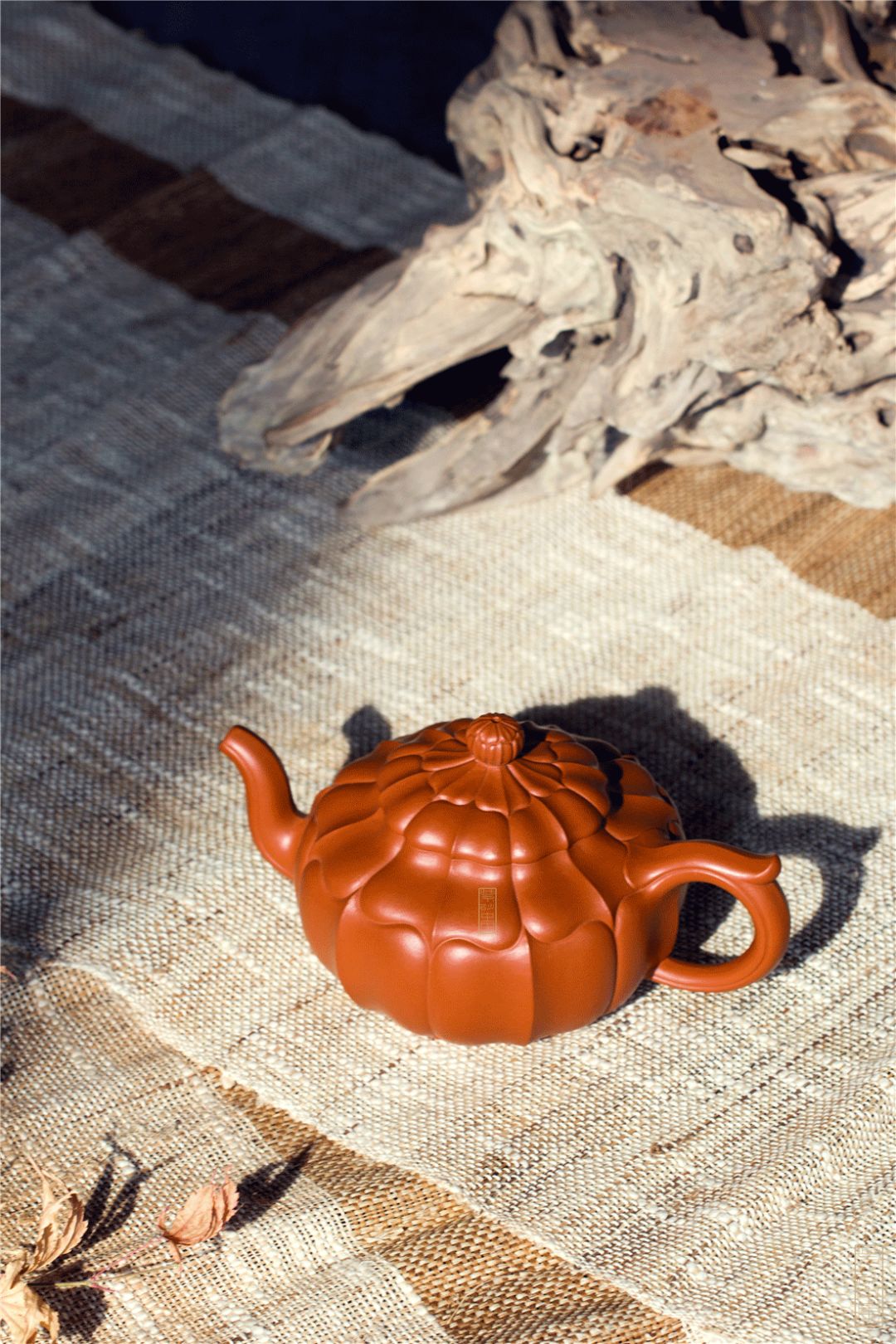 摶｜《至尊宝菱》张伟