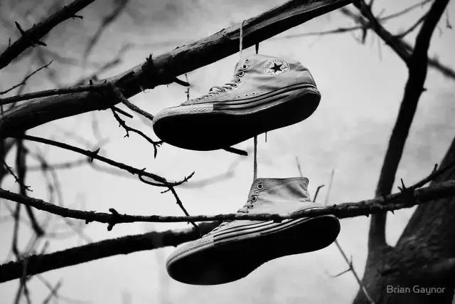 vans和converse高帮适合冬季穿,converse对比vans