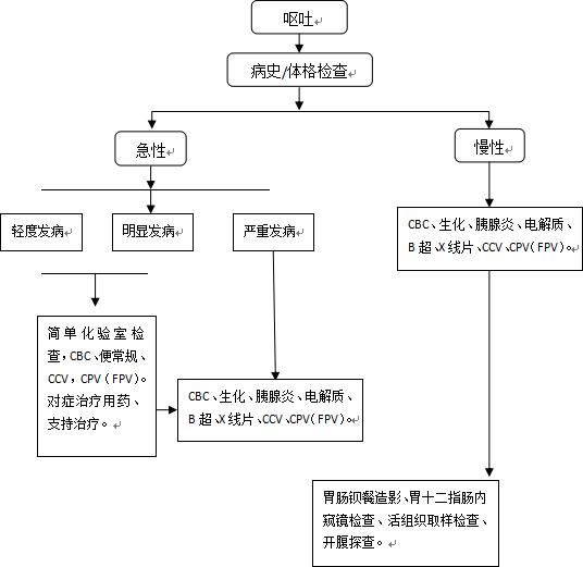 犬猫呕吐的诊断与治疗有最好的药,犬猫呕吐的诊断与治疗