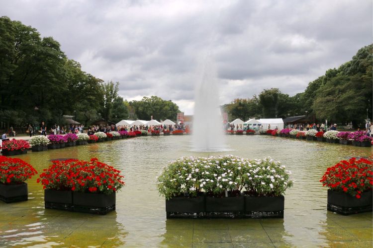 世界最安全的城市外媒,全球十大安全城市外网评论