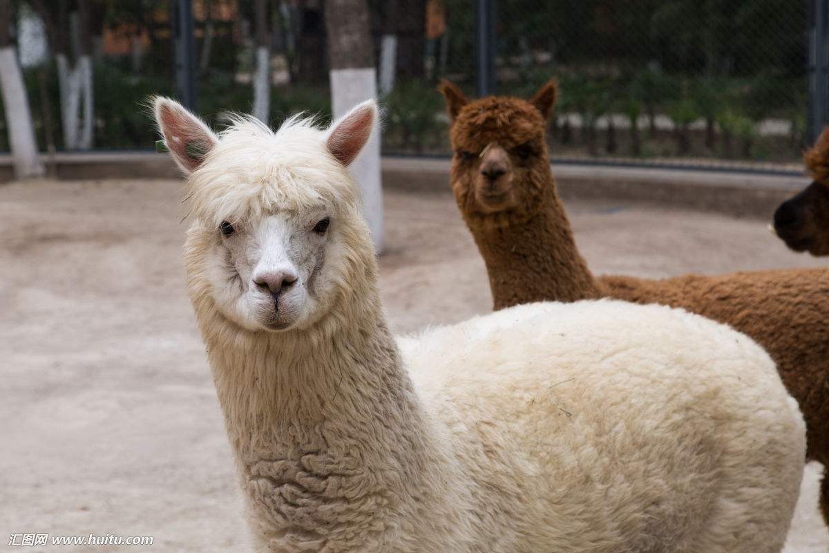 有辆宝骏730做什么工作赚钱,自己有辆宝骏730能找个什么工作