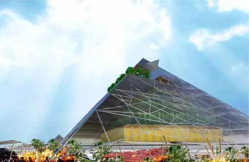 垂直农场与垂直农业 (国外垂直农场现状)