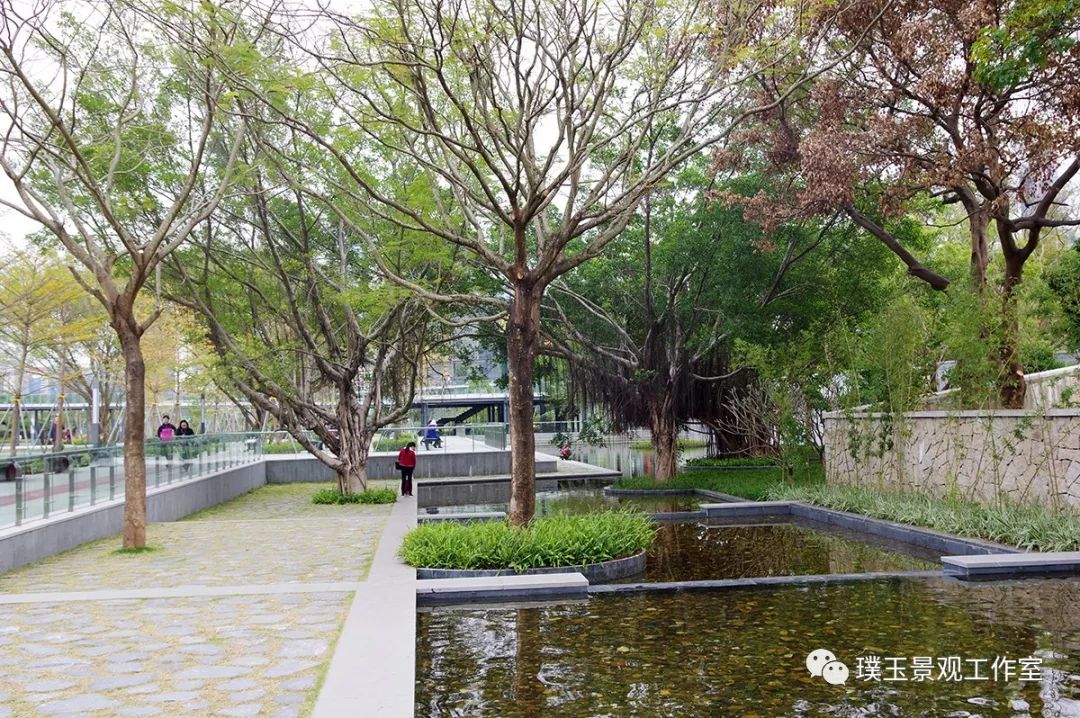 2019年香蜜湖公园,最新香蜜公园视频