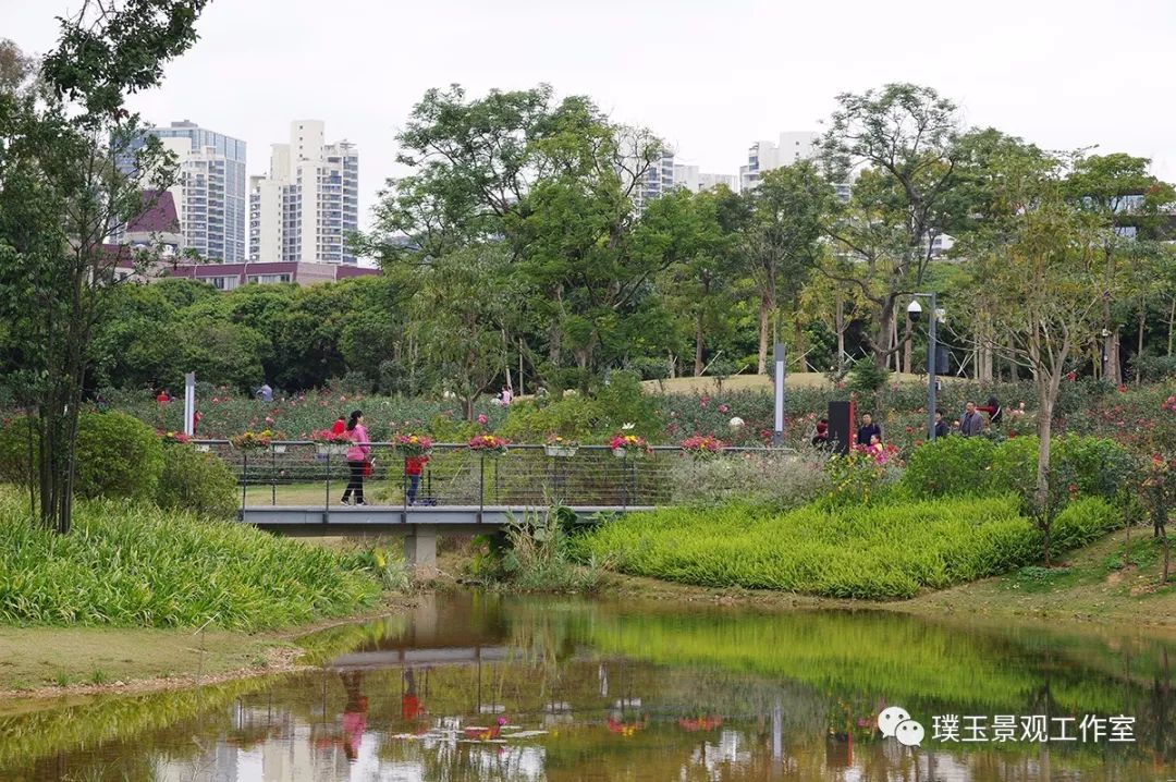 深圳香蜜公园航拍视频,香蜜湖香蜜公园