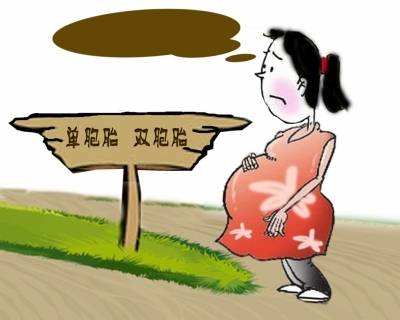 高风险双胎,双胎比起单胎有哪些不一样