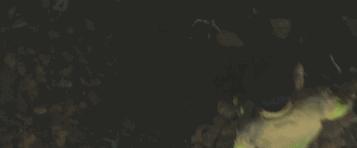 这部几乎把韩国人都赶到影院的巨片,我一手五颗星一手一颗星