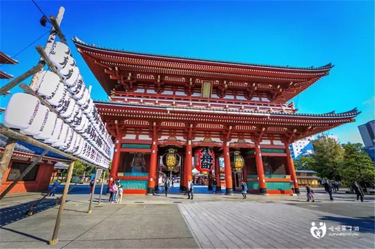 你的青蛙去过哪,旅行青蛙中国之旅图片有樱花的