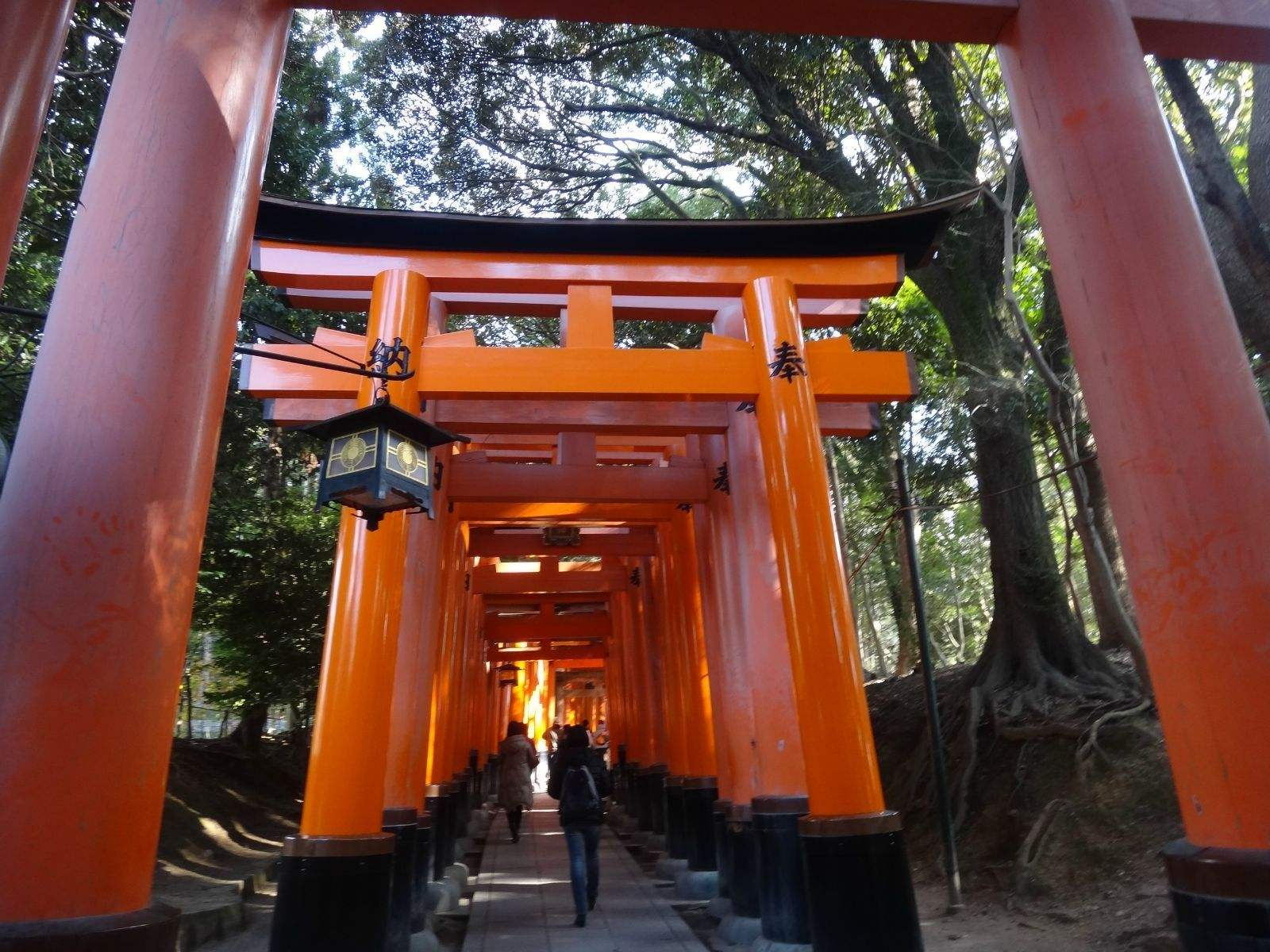 中国游客全球第一：美国游客消费额仅中国一半，这个国家最受欢迎