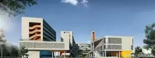 重视理论教育忽视实践教育,重视教育和不重视教育的家庭区别