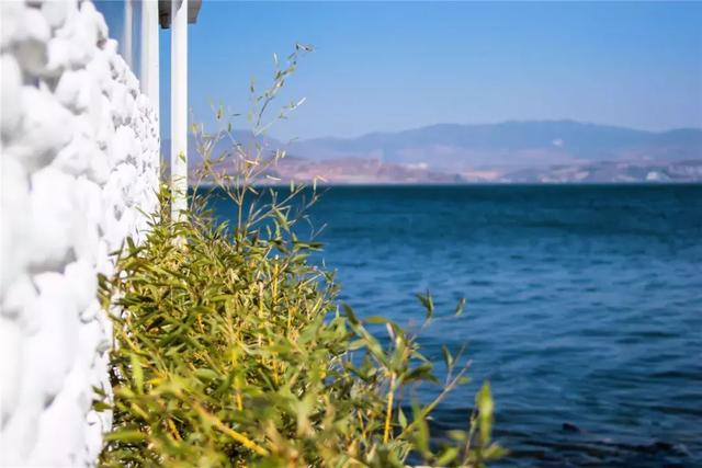 走，踏春去！从昆明到腾冲：望山看水闻花香住住客栈发发呆