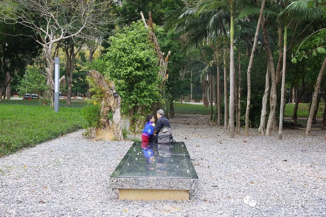 2019年香蜜湖公园,最新香蜜公园视频