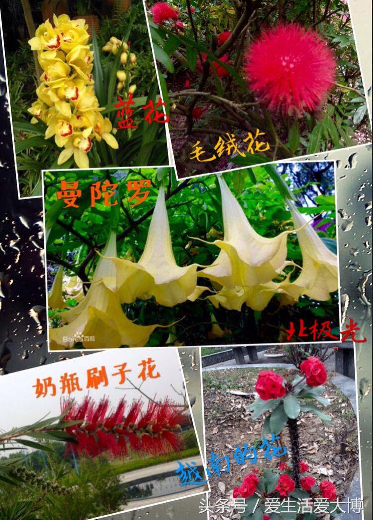 蛟河煤矿曾经的故乡......唤醒尘封的记忆