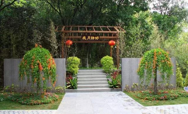 还没看的景点,大夫山最美景色