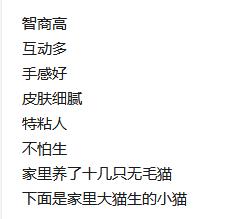 养一只无毛猫的真实感受,养一只无毛猫要多少钱