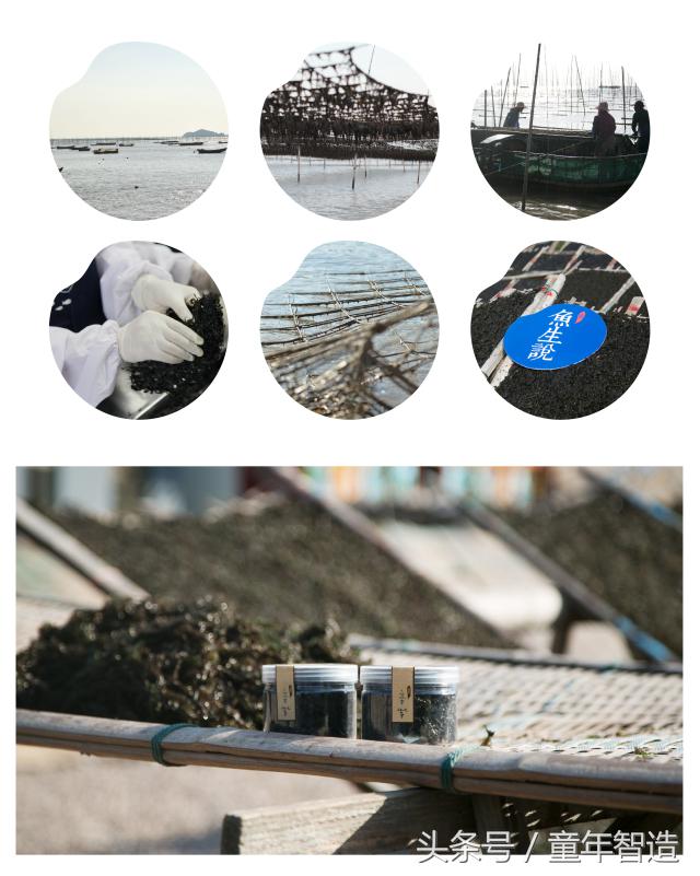 海洋被污染之后怎么补碘,海洋污染dha