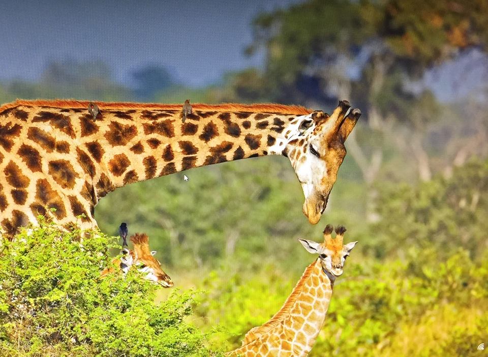 春天没能一起放风筝夏天一起看海,春天去不去旅游