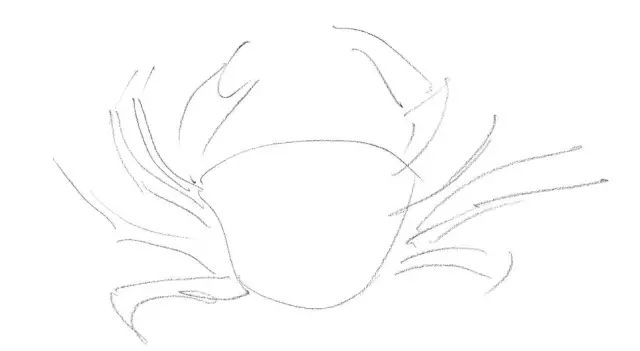 国画素描教程零基础入门,零基础学素描初学者入门教学