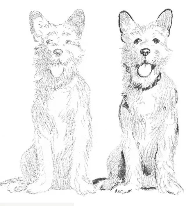 国画素描教程零基础入门,零基础学素描初学者入门教学