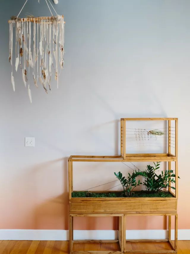 壁纸不只有花样，未来我们可能用壁纸刷微博