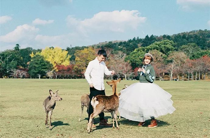 小清新婚纱照唯美图片,小清新婚纱照是不是很唯美啊